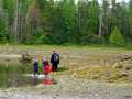 Clam Hunters